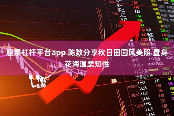 股票杠杆平台app 陈数分享秋日田园风美照 置身花海温柔知性